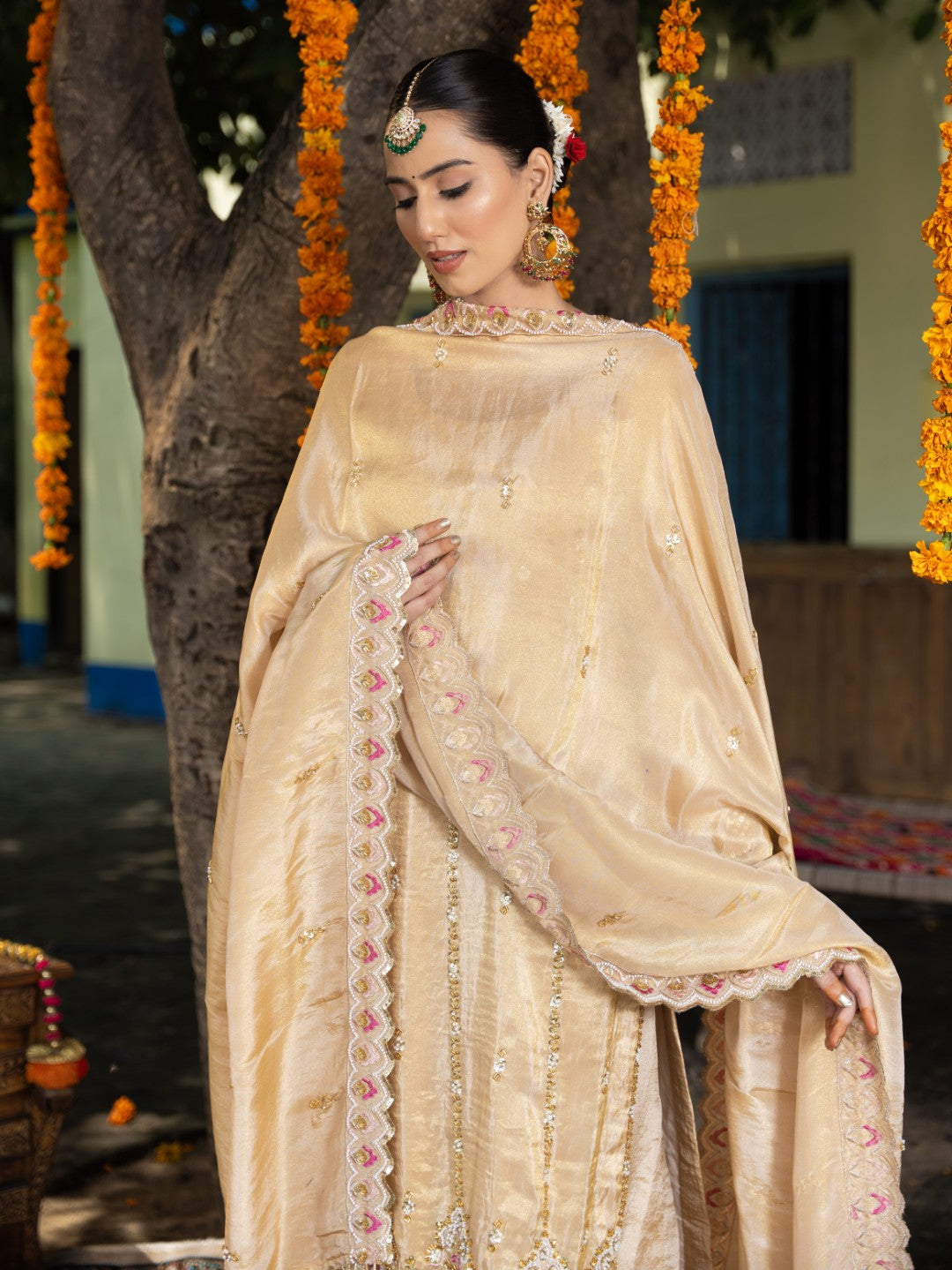 Fawn-Beige Heavy Cutdana Work Sharara Set